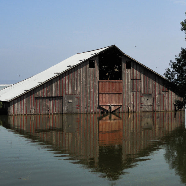 Pray for Rain (2011)